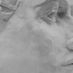 Plaster cast Portrait of Woman