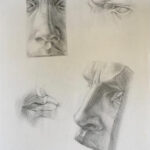 Plaster cast drawings